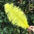 Премиум перья страуса 45-50 см. Желтый цвет