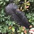 Премиум перья страуса 45-50 см. Черный цвет