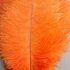Премиум перья страуса 45-50 см. Оранжевый цвет