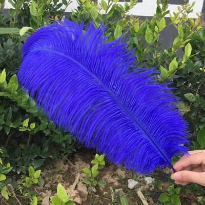 Премиум перья страуса 45-50 см. Синий цвет