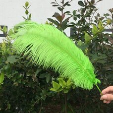 Премиум перья страуса 45-50 см. Салатовый цвет