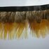 Тесьма из перьев цесарки на ленте 5 см, 1м. Желтого оттенка #14