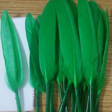 Перья утиные 10-15 см. 20 шт. Зеленый цвет
