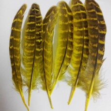 Декоративные перья фазана 10-15 см. 10 шт. Желтые