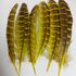 Декоративные перья Pheasаnt 10-15 см. 10 шт. Желтые