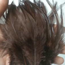 Перья петуха двухцветные 10-15 см. 50 шт. Темно-коричневый цвет