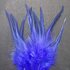 Перья петуха 10-15 см. 20 шт. Синего цвета