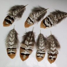 Декоративные перья королевского фазана 6-10 см. 1 шт.