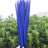 Декоративные перья Pheasаnt 40-45 см. (Хвост) 1 шт. Синего цвета