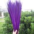 Декоративные перья Pheasаnt 40-45 см. (Хвост) 1 шт. Фиолетового цвета