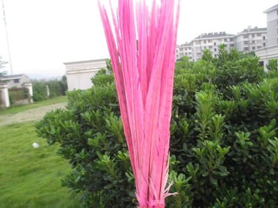 Декоративные перья Pheasаnt 40-45 см. (Хвост) 1 шт. Розового цвета