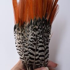 Декоративные перья алмазного фазана 20-25 см. 1 шт.