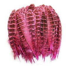 Декоративные перья фазана 10-15 см. 10 шт. Розовые
