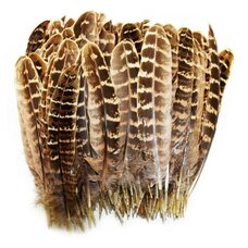 Декоративные перья 10-15 см. 10 шт. Натуральный цвет