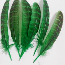 Декоративные перья 10-15 см. 10 шт. Зеленые