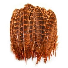 Декоративные перья фазана 10-15 см. 10 шт. Оранжевые