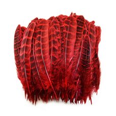 Декоративные перья фазана 10-15 см. 10 шт. Красные