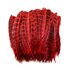 Декоративные перья Pheasаnt 10-15 см. 10 шт. Красные