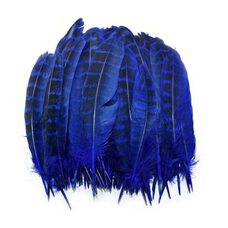 Декоративные перья фазана 10-15 см. 10 шт. Синего цвета