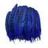 Декоративные перья 10-15 см. 10 шт. Синего цвета