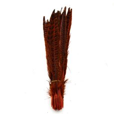 Декоративные перья 25-30 см. Оранжевые