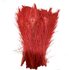 Цветные перья павлина 25-30 см. Красный цвет