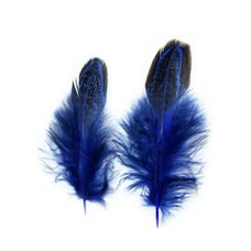 Декоративные перья разноцветные 5-8 см. 20 шт. Синего цвета