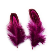 Декоративные перья фазана разноцветные 5-8 см. 20 шт. Фуксия