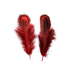 Декоративные перья фазана разноцветные 5-8 см. 20 шт. Красные