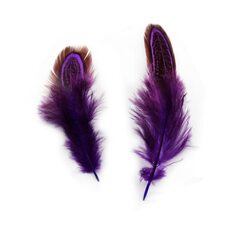 Декоративные перья разноцветные 5-8 см. 20 шт. Фиолетовые