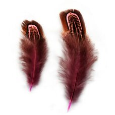 Декоративные перья фазана разноцветные 5-8 см. 20 шт. Розовые
