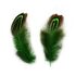 Декоративные перья Pheasаnt разноцветные 5-8 см. 20 шт. Зеленые