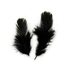Декоративные перья Pheasаnt разноцветные 5-8 см. 20 шт. Черные