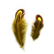 Декоративные перья фазана разноцветные 5-8 см. 20 шт. Желтые