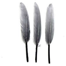 Перья утиные 10-15 см. 20 шт. Серый цвет