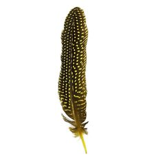 Перья цесарки 17-22 см. 10 шт. Желтый цвет