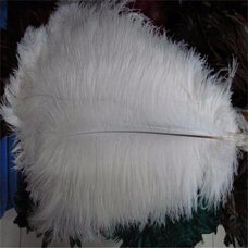 Премиум перья страуса 40-45 см. Белый цвет