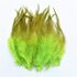 Перья петуха двухцветные 10-15 см. 50 шт. Салатовый цвет