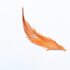 Перья петуха двухцветные 10-15 см. 50 шт. Оранжевый цвет