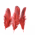 Декоративные перья Pheasаnt разноцветные 5-8 см. 20 шт. Красные
