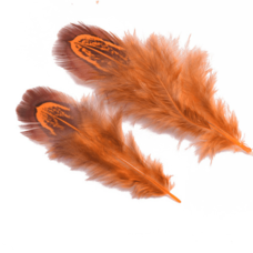 Декоративные перья фазана разноцветные 5-8 см. 20 шт. Оранжевые