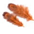 Декоративные перья разноцветные 5-8 см. 20 шт. Оранжевые