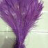 Цветные перья павлина 25-30 см. Светло-фиолетовый цвет