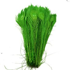 Цветные перья павлина 25-30 см. Зеленый цвет