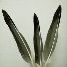 Натуральные перья гуся 28-35 см. 10 шт.