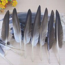 Натуральные перья гуся 15-22 см. 10 шт.