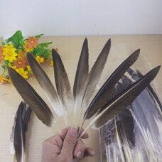 Натуральные перья гуся 15-22 см. 10 шт.