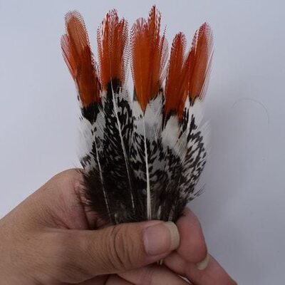 Декоративные перья 10-15 см. 1 шт. 