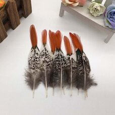 Декоративные перья алмазного фазана 10-15 см. 1 шт. 