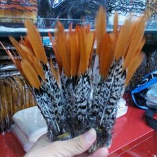 Декоративные перья алмазного фазана 15-20 см. 1 шт. 